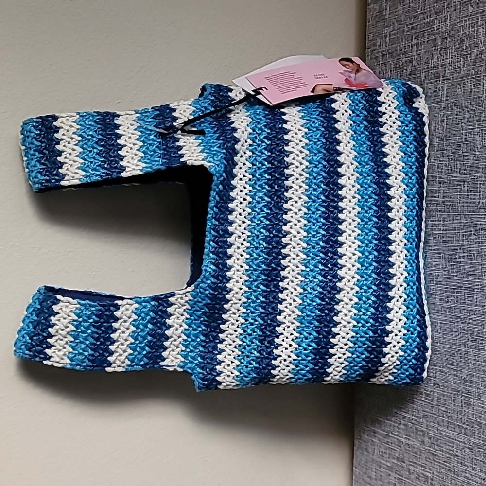 Future Collective X Alani Noelle Blue And White Bag Chevron New